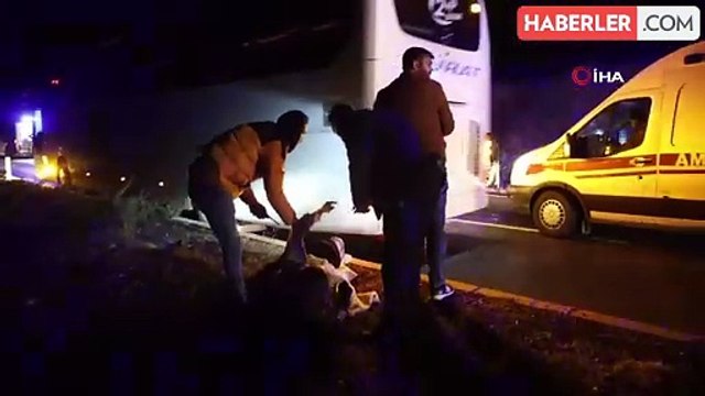 Nevşehir Kayseri Karayolunda Ters Şeritten İlerleyen Alkollü Sürücü Kaza Yaptı