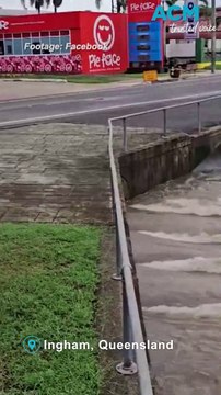 Croc found swimming in Queensland floodwaters