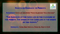 Timeless Wisdom of Prophet Muhammad (صلى الله عليه وآله وسلم): Authentic 5 Hadiths for Life Guidance