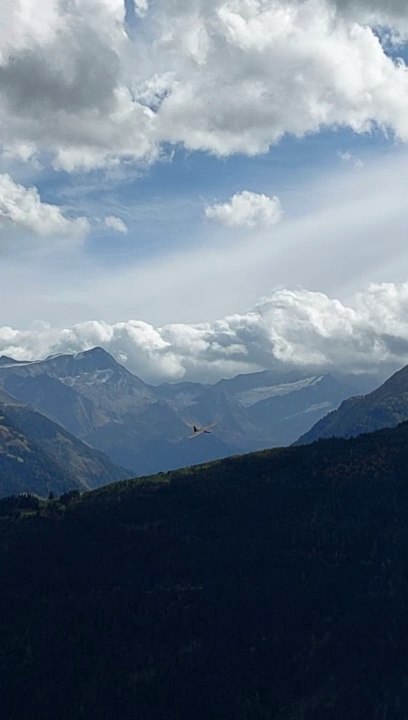 Wood curst L am Osthang