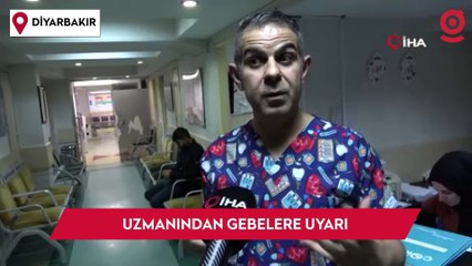 Uzmanı uyardı: Gebeliğin ilk 3 ayında bu gıdalara dikkat