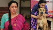 Rupali Ganguly Aka Anupama के Pet ने कहा दुनिया को अलविदा, Video Share कर Actress हुई Emotional