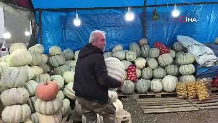 Düzce'de hasadı başladı, ünü her geçen gün arttı: Kilosu 15 TL ve tam bir vitamin zengini!