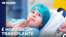 Um Dia De Esperança Para Betul - Um Milagre