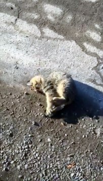 Чого це він раптом захотів прибратися?