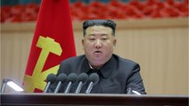 Luxus-Urlaub in Nordkorea: Kim Jong-un plant Eröffnung von Beach Resort für 2024