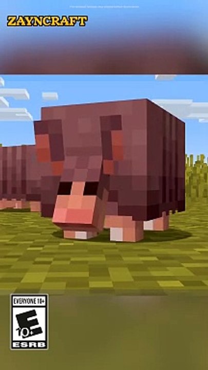 MINECRAFT GAME CLIPS #28