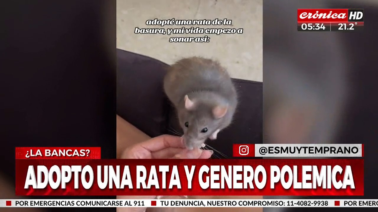 Se sentía sola y adoptó una rata para que le haga compañía