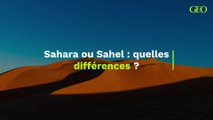 Sahara et Sahel : quelles différences ?