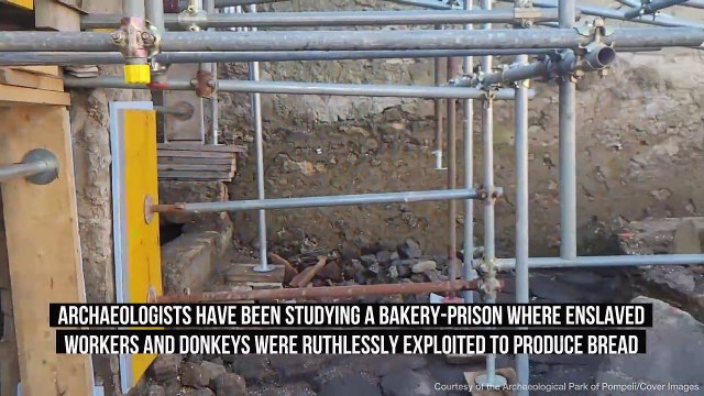 Horrors Of Roman Slavery Uncovered In Pompeii