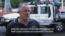 Crocodile pulled from floodwaters as storms hit Australia