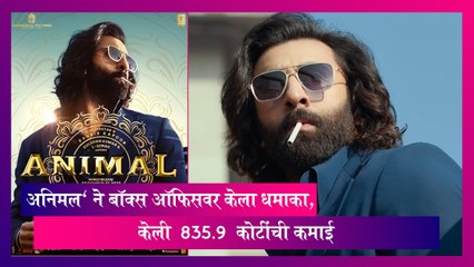 Animal: ॲनिमल' ने बॉक्स ऑफिसवर केला धमाका, केली  835.9  कोटींची कमाई