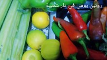 لطبيب ديالي تمشاي شويا_روتيني المسائي