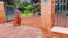 هيا_البلدي احنيني_روتيني المسائي