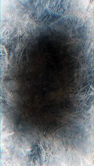 The Essence of Shadows 5 Dark Revelations