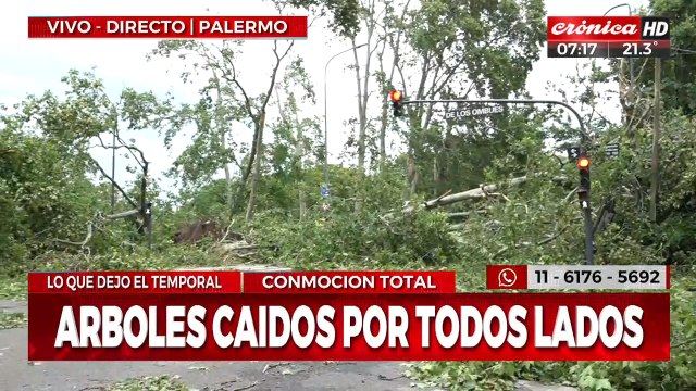 Así quedó la ciudad de Buenos Aires tras el temporal