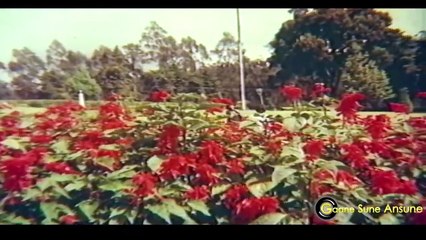 Main Tum Mein Sama / Lata Mangeshkar /  Raaste Pyar Ke 1982 Songs _