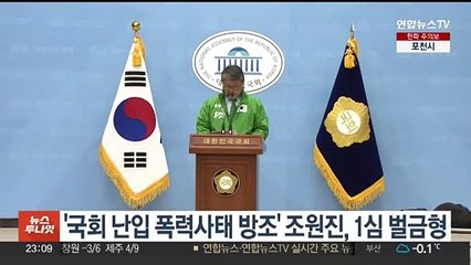 '국회 난입 폭력사태 방조' 조원진, 1심 벌금형