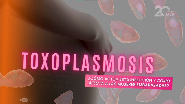 Toxoplasmosis: ¿Cómo actúa esta infección y cómo afecta a las mujeres embarazadas?