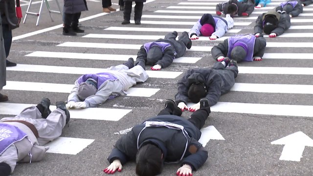 이태원 참사 유가족 오체투지 행진...특별법 제정 촉구 / YTN