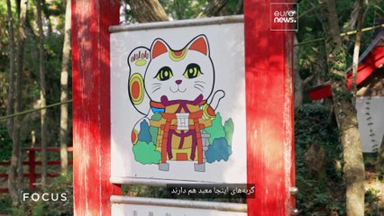 گربه‌ها و گوزن‌ها؛ یاوران گردشگری در مناطق دورافتادهٔ ژاپن