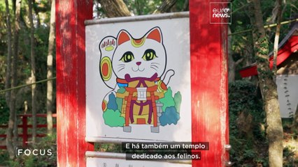 De que forma os gatos estão a ajudar a impulsionar o turismo na região japonesa de Tohoku?