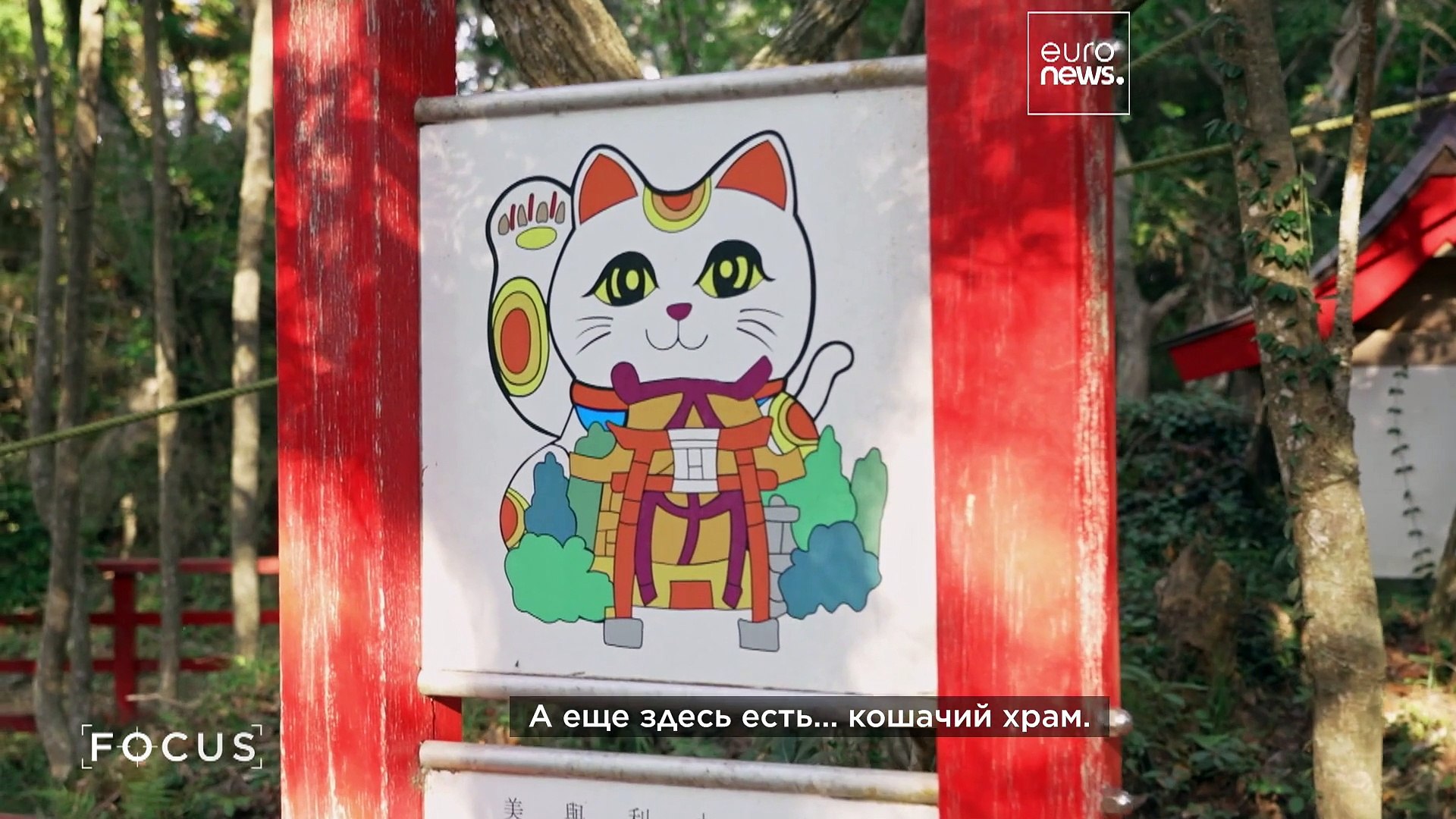 ⁣Как олени и кошки разивают туризм в японском регионе Тохоку?