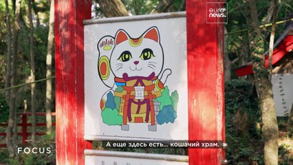 Как олени и кошки помогают восстановлению туризма в постземлетрясённой Тохоку 🇯🇵