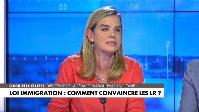 Gabrielle Cluzel : «Les LR repartent dans leur rôle de supplétif du gouvernement, c'est vraiment regrettable»
