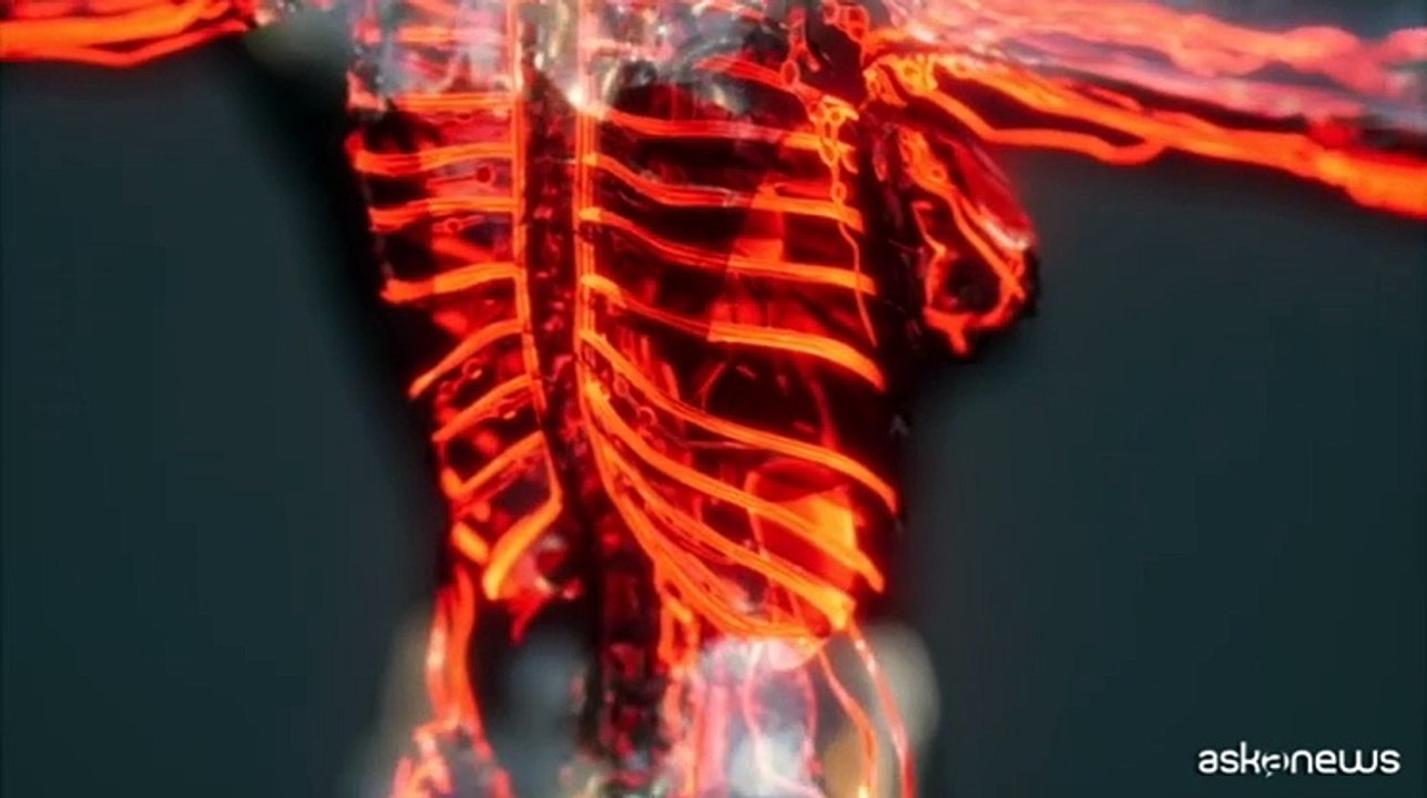 Carne rossa, il nutriente che aiuta a combattere i tumori