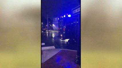 سيارة تابعة لموكب بايدن تتعرض لحادث اصطدام وتستنفر رجال الخدمة السرية