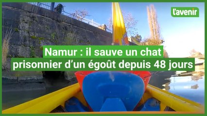 Marc Kayak sauve le chat de Théophile