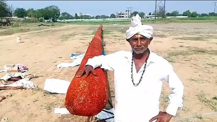 रामलला के लिए वडोदरा में बन रही 108 फीट लंबी अगरबत्ती