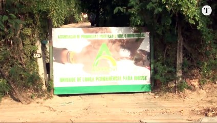 ACOMPANHE AO VIVO FM O TEMPO AO VIVO (981)