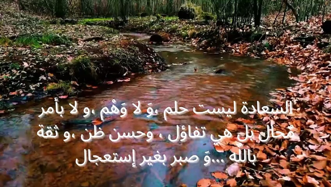 أقوال وحكم التاريخ الإسلامي