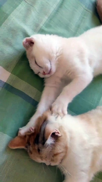 Massage time