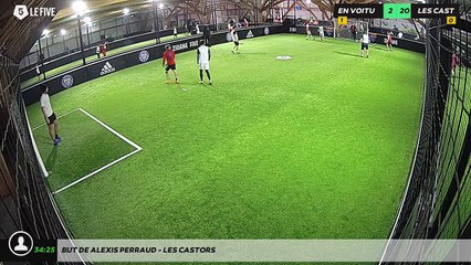 But de Alexis PERRAUD - LES CASTORS