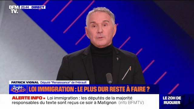 Projet de loi immigration: C'est un bras de fer entre les LR et nous , pour Patrick Vignal (Renaissance)