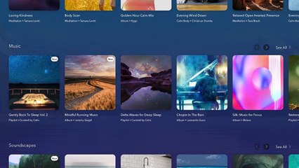 The 5 Pillars of Health, according to Calm founder Michael Acton Smith | Inc.