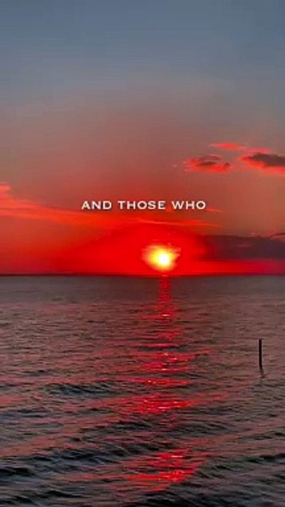 Are you one of the people who has already understood all this _ #motivation #deep #lifeleasons #shelbymotivation #lifequotes