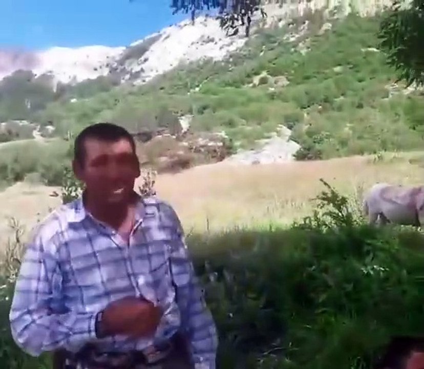 Koyun sürüsünü 'emirle' güdüyor