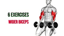 6 Exercises for Wider Biceps | Biceps Workout at Gym