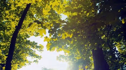 Relaxing Music for Stress Relief ~ Soothing Music for Meditation ~ Healing Therapy ~ Sleep ~ Spa (2)
