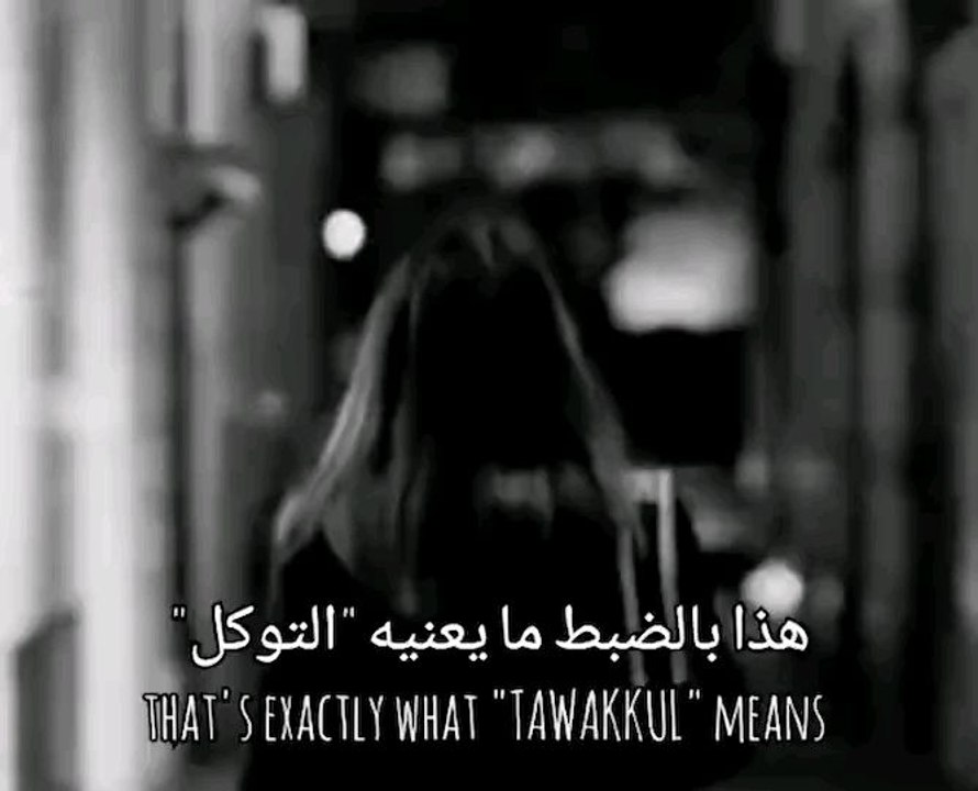 إليك أحدث فيديو نشرته