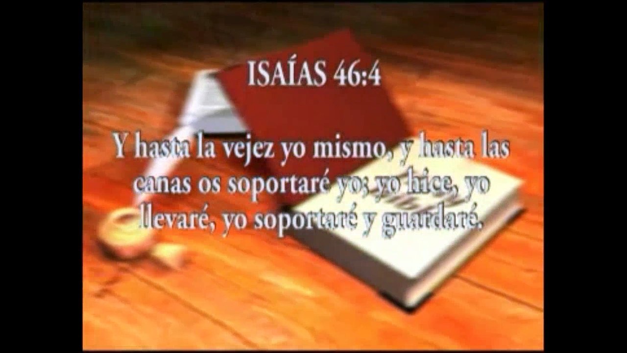 Proposito y funcion de un Velo  301 062611