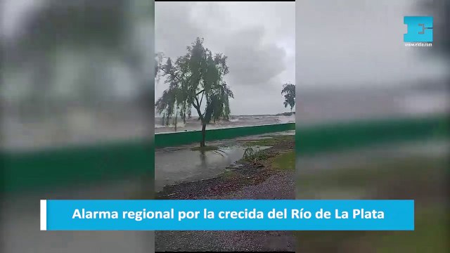 Alarma regional por la crecida del Río de La Plata