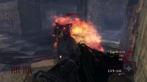 COD Black Ops Zombies: Hell Hound Onslaught on Kino Der Toten