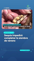 Sequía impedirá completar la siembra de verano