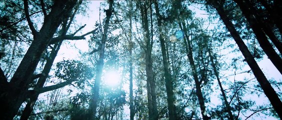 A way for Tomás | movie | 2019 | Official Trailer