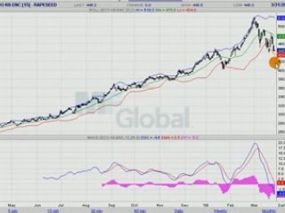 COLZA EURONEXT 31.03.08